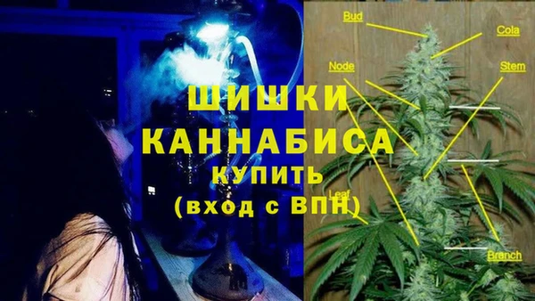 круглые Осинники