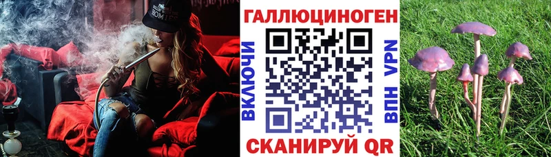 Галлюциногенные грибы Psilocybe  Сафоново 